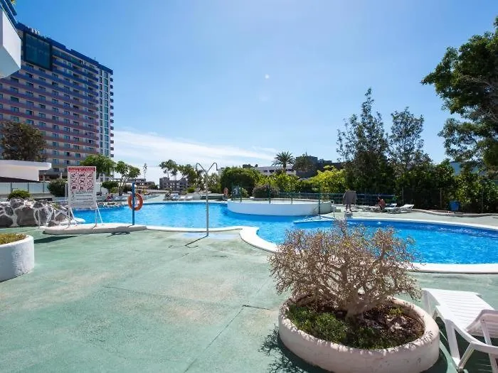 1316 Ocean View Studio Paraiso Плайя-Параисо Апартаменты